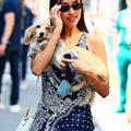 MUSU ALEXANDRA SAINT MLEUX SCANI SECRET PAIRE DE LUNETTES DE SOLEIL NOIRES SUNGLASSES LUNETTES CAT EYE